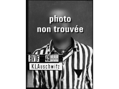 Les SS ont détruit la plupart des archives du KL Auschwitz lors de l’évacuation du camp. Le portrait d’immatriculation de ce détenu a disparu.