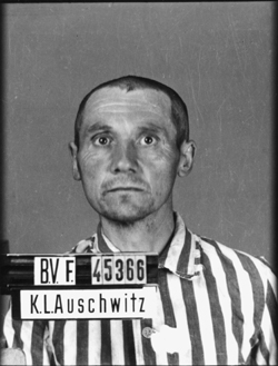 Musée d’État d’Auschwitz-Birkenau, Oswiecim, Pologne. Collection Mémoire Vive. Droits réservés.