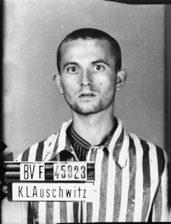 À Auschwitz-I, le 8 juillet 1942. Collection numérique Mémoire Vive, © Musée d’État d’Auschwitz-Birkenau.