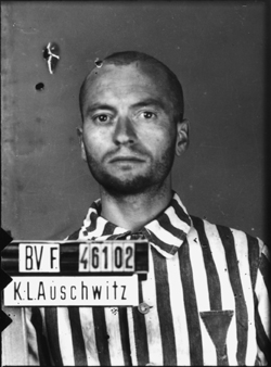 Auschwitz-I, le 8 juillet 1942.  Musée d’État d’Auschwitz-Birkenau,  Oświęcim, Pologne.  Coll. Mémoire Vive. Droits réservés.