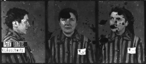 Photographiée à Auschwitz-I, le 3 février 1943, selon les trois vues anthropométriques de la police allemande. Musée d’État d’Auschwitz-Birkenau, Oświęcim, Pologne. Collection Mémoire Vive. Droits réservés.