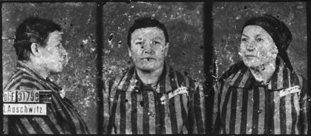 IDENTIFICATION INCERTAINE… C’est de manière hypothétique et déductive qu’est donné à voir  le portrait de cette détenue, photographiée à Auschwitz-I  le 3 février 1943, et que personne n’a identifiée.  Musée d’État d’Auschwitz-Birkenau, Oświęcim, Pologne.  Collection Mémoire Vive. Droits réservés.