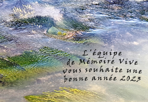 Voeux 2023 Reflet toulousain