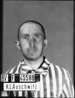 JPEG - 69.4 ko