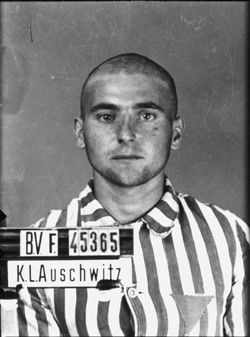 JPEG - 78.1 ko