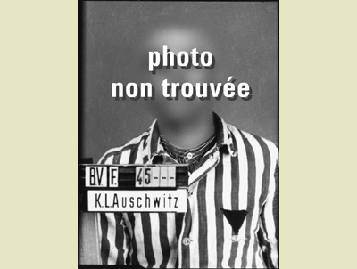 JPEG - 77.1 ko