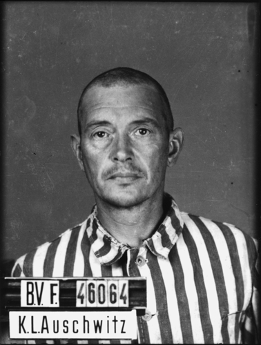 Auschwitz, le 8 juillet 1942. Musée d’État d’Auschwitz-Birkenau, Oswiecim, Pologne. Collection Mémoire Vive. Droits réservés.